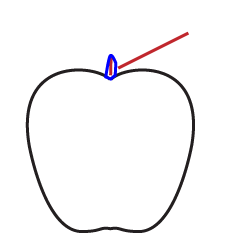 webby wanda's how to draw an Apple step four