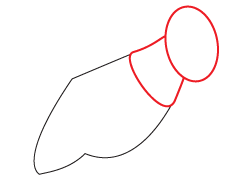 How to draw a cartoon Cricket step 2