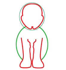 How to draw a cartoon Dog-Irish Setter step 2