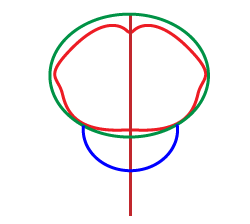 how to draw a cartoon frog step 2