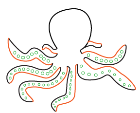 How to draw a Cartoon Octopus step 3