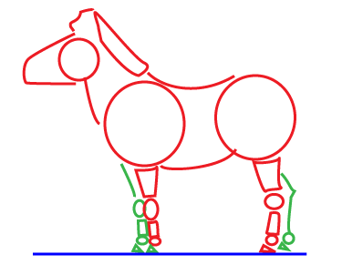 How to draw a cartoon Zebra step 3